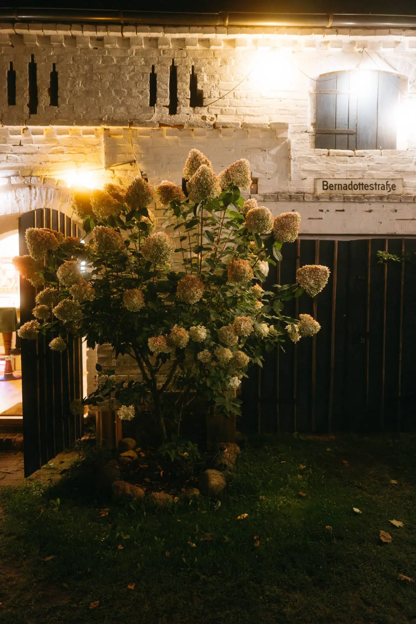 beleuchteter hortensienstrauch vor rustikalem gebäude bei nacht – moderne dokumentarische hochzeitsfotografie mit atmosphärischem fokus auf ort und stimmung