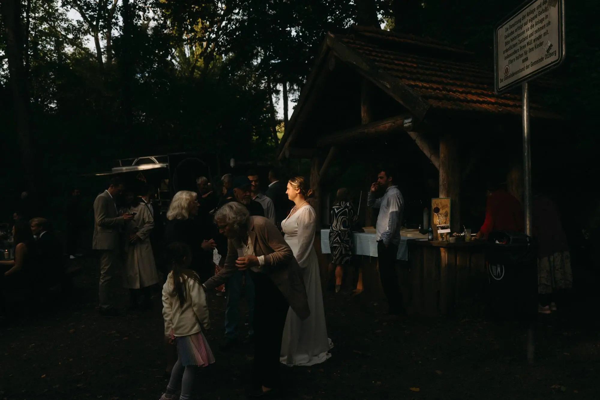 authentische hochzeitsgesellschaft im waldstück bei spätnachmittagssonne – moderne dokumentarische hochzeitsfotografie mit atmosphärischem licht und naturnaher kulisse