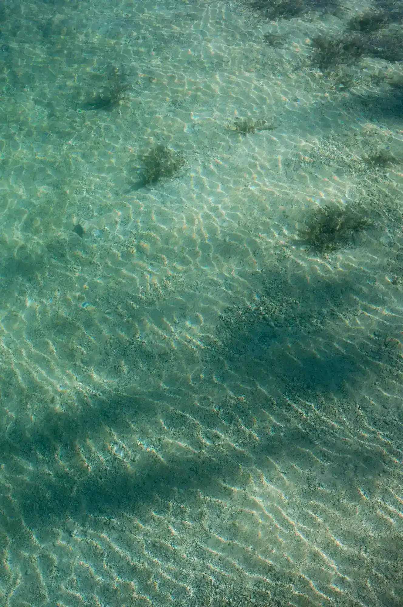 Sanfte Wellen und Lichtreflexe im türkisfarbenen Wasser, ein stiller Moment voller Tiefe. Moderne dokumentarische Hochzeitsfotografie, die ungestellte Verbindung und echtes Gefühl sichtbar macht.