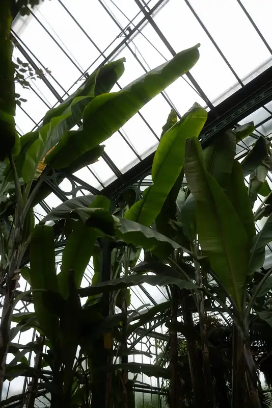 aussergewoehnliche-hochzeitsfotografie-stuttgart-botanischer-garten-location aussergewoehnliche-hochzeitsfotografie-stuttgart-botanischer-garten-location