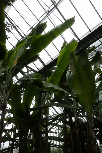 aussergewoehnliche-hochzeitsfotografie-stuttgart-botanischer-garten-location aussergewoehnliche-hochzeitsfotografie-stuttgart-botanischer-garten-location