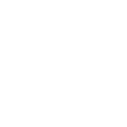 instagram-logo-weiss-clean instagram-logo-weiss-clean